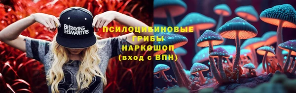 ПСИЛОЦИБИНОВЫЕ ГРИБЫ Алзамай