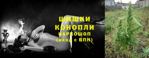 ПСИЛОЦИБИНОВЫЕ ГРИБЫ Алзамай